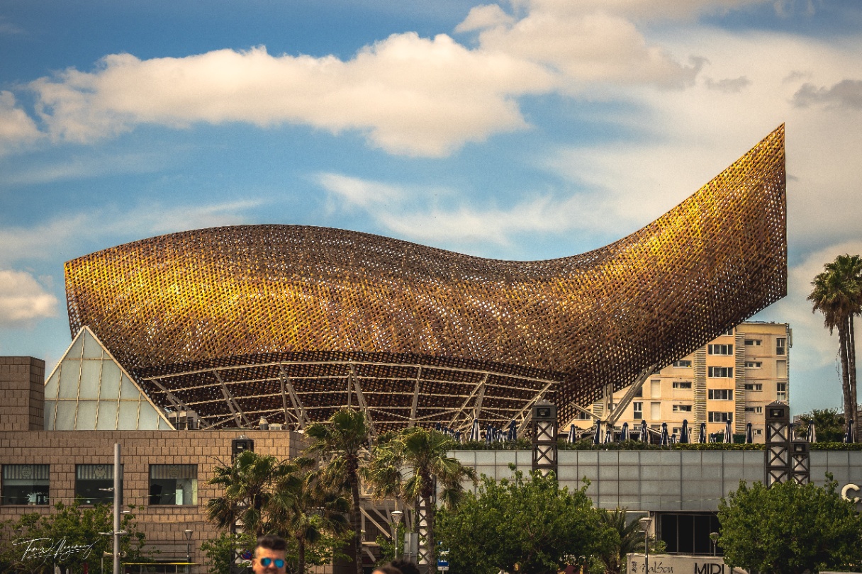 Gleam of the Golden Coast