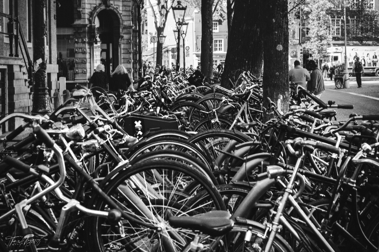 Amsterdam's bicycle culture
