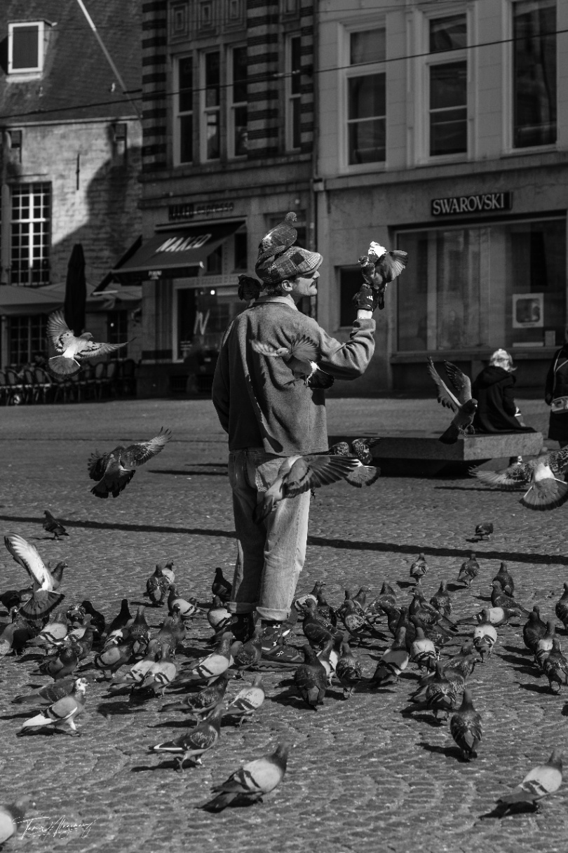 The Pigeon Whisperer